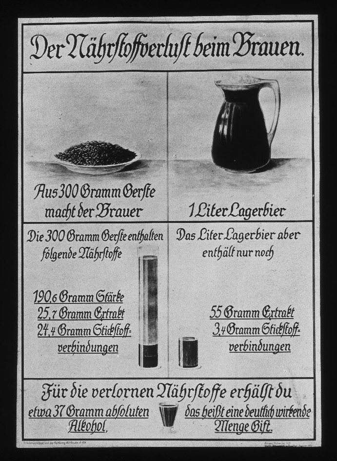 Der Nähstoffverlust beim Bauen (Nährstoffgehalt von 300g Gerste und dem aus der gleichen Menge hergestellten Lagerbier.)