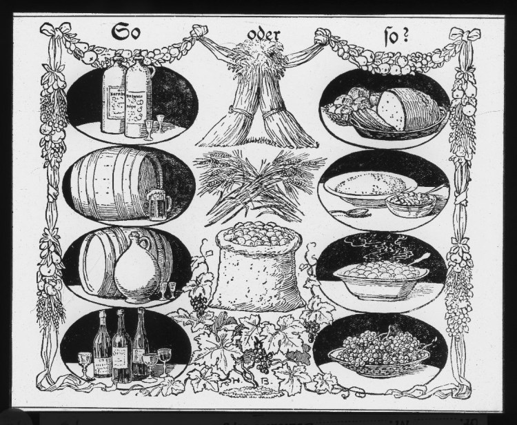 So – oder so? (Gegenüberstellung von alkoholischen Getränken und Nahrungsmitteln, die AUS DEN GLEICHEN Früchten gewonnen werden.)  