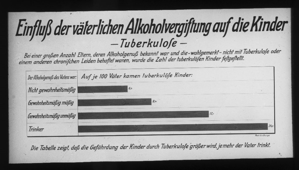 Einfluss der väterlichen Alkoholvergiftung auf die Kinder: Tuberkulose (nach G. von Bunge)
